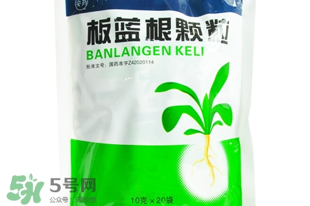 板藍根什么時候喝最好？板藍根一天中什么時間喝最好？