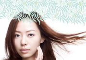 泊美這個(gè)牌子怎么樣？泊美是哪個(gè)國家的品牌？