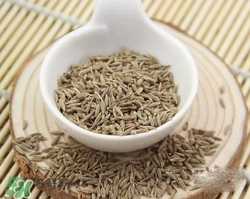 小茴香是孜然嗎？小茴香和孜然的區(qū)別