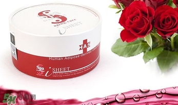 spa treatment是什么牌子？spa是什么檔次？