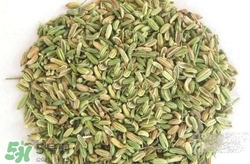 小茴香來(lái)月經(jīng)可以吃嗎？來(lái)月經(jīng)可以吃小茴香嗎？