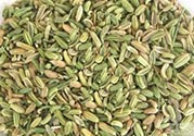 小茴香是孜然嗎？小茴香和孜然的區(qū)別