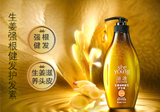 滋源洗發(fā)水怎么樣？滋源生姜洗發(fā)水怎么樣