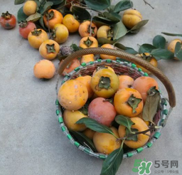 柿子長白點還能吃嗎？柿子上有白點能吃嗎？