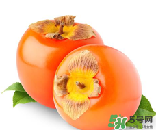 柿子籽能吃嗎？柿子籽的功效與作用