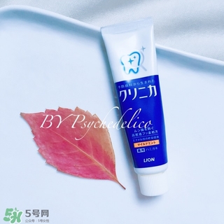 獅王牙膏保質期怎么看？獅王牙膏保質期是多久？