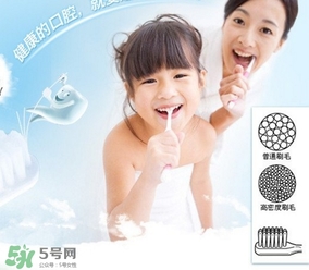 獅王牙刷怎么辨別真假？獅王牙刷真假對(duì)比