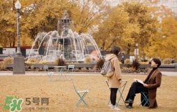也許星星會(huì)帶走你的悲傷多少錢？也許星星會(huì)帶走你的悲傷價(jià)格