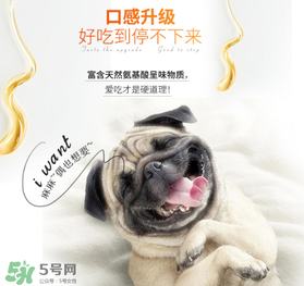 狗狗營養(yǎng)膏什么牌子好？狗狗營養(yǎng)膏多少錢？