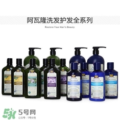 洗發(fā)水什么牌子好？洗發(fā)水2017品牌排行榜