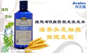洗發(fā)水什么牌子好？洗發(fā)水2017品牌排行榜