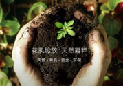 花肌粹護(hù)膚品怎么樣？花肌粹護(hù)膚品含激素嗎？