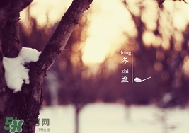 冬至要上墳嗎？冬至為什么要上墳？
