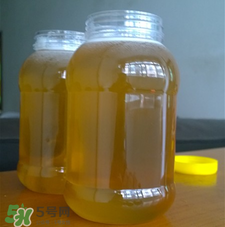 冬蜜好還是春蜜好？冬蜜和春蜜的區(qū)別
