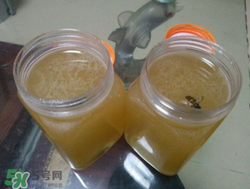 冬蜜多少錢一斤？冬蜜如何辨別真假？