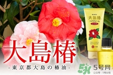 大島椿護發(fā)精油能涂臉嗎?大島椿發(fā)油的身體護理用法 大島椿護發(fā)精油能涂臉嗎?大島椿發(fā)油的身體護理用法