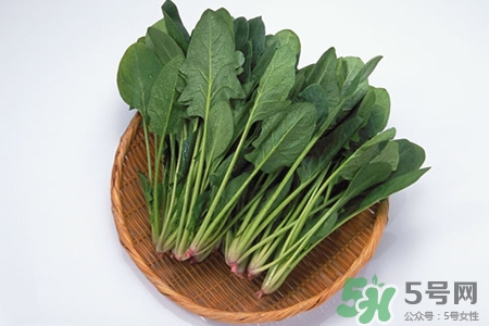 吃菠菜能壯陽嗎？男人常吃菠菜能提高性能力