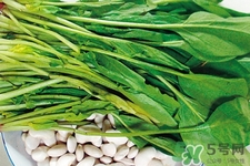 菠菜熱量高嗎？菠菜吃多了會發(fā)胖嗎？