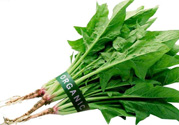 吃菠菜力氣會(huì)變大嗎？多吃菠菜既有力氣又能瘦