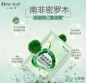一葉子是哪個國家的？一葉子面膜是哪個國家的？