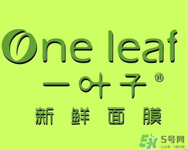 一葉子面膜會(huì)過(guò)敏嗎？一葉子面膜會(huì)不會(huì)過(guò)敏？