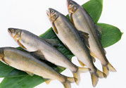 咽喉炎可以吃魚嗎？咽喉炎吃魚有什么好處？