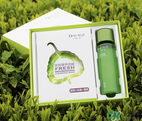 一葉子面膜怎么用？一葉子面膜使用方法