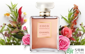 香奈兒黑coco香水和白coco香水哪個好？香奈兒黑可可和白可可選擇