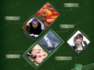 姬存希黃瓜膠多少錢？姬存希黃瓜膠價格