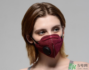 pm2.5口罩多少錢(qián)？pm2.5口罩價(jià)格