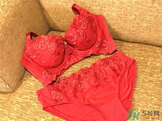 黛安芬內(nèi)衣怎么樣？黛安芬內(nèi)衣價格圖片