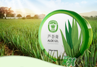 雅麗潔蘆薈膠多少錢？雅麗潔蘆薈膠好不好？