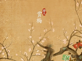 臘八節(jié)出生的女寶寶怎么取名？臘八節(jié)出生的男寶寶怎么取名？