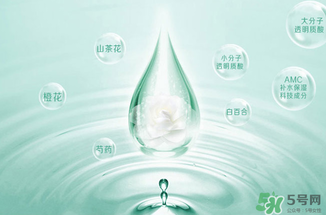 一葉子水光霜怎么用？一葉子水光霜使用方法