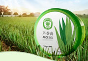 雅麗潔蘆薈膠多少錢？雅麗潔蘆薈膠好不好？