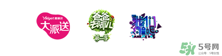 雅麗潔這個牌子怎么樣？雅麗潔是哪國的牌子