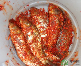 腌魚放多少鹽？腌魚放鹽的比例