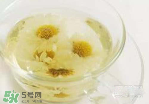 菊花茶什么時(shí)候喝最好？菊花茶什么季節(jié)喝最好？