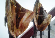 新鮮魚怎么腌制咸魚塊？咸魚塊怎么腌制