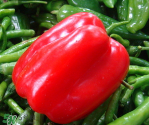 辣椒變紅能吃嗎？辣椒為什么會變紅？
