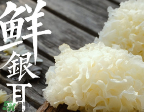 新鮮銀耳有毒嗎？新鮮銀耳怎么去毒？