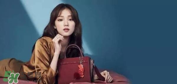 李圣經(jīng)的包包什么牌子？李圣經(jīng)包包同款
