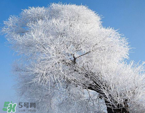 2017年第一場雪什么時候？2017年什么時候下雪？