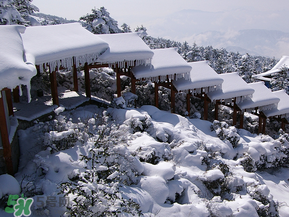 2017年第一場雪什么時候？2017年什么時候下雪？