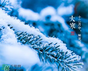 大寒是幾九？2017年大寒是幾九？