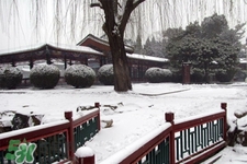 2017年過(guò)年會(huì)下雪嗎？2017年過(guò)年天氣情況