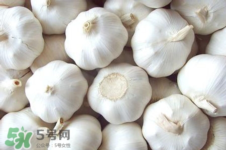 2017過(guò)年大蒜會(huì)漲價(jià)嗎？2017年春節(jié)大蒜價(jià)格預(yù)測(cè)