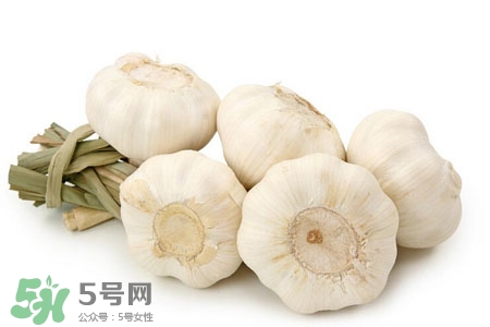 2017過(guò)年大蒜會(huì)漲價(jià)嗎？2017年春節(jié)大蒜價(jià)格預(yù)測(cè)