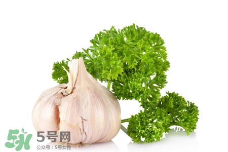 2017過(guò)年大蒜會(huì)漲價(jià)嗎？2017年春節(jié)大蒜價(jià)格預(yù)測(cè)