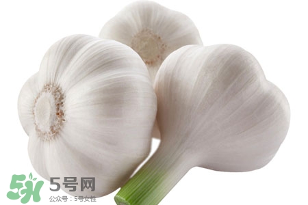 2017過(guò)年大蒜會(huì)漲價(jià)嗎？2017年春節(jié)大蒜價(jià)格預(yù)測(cè)